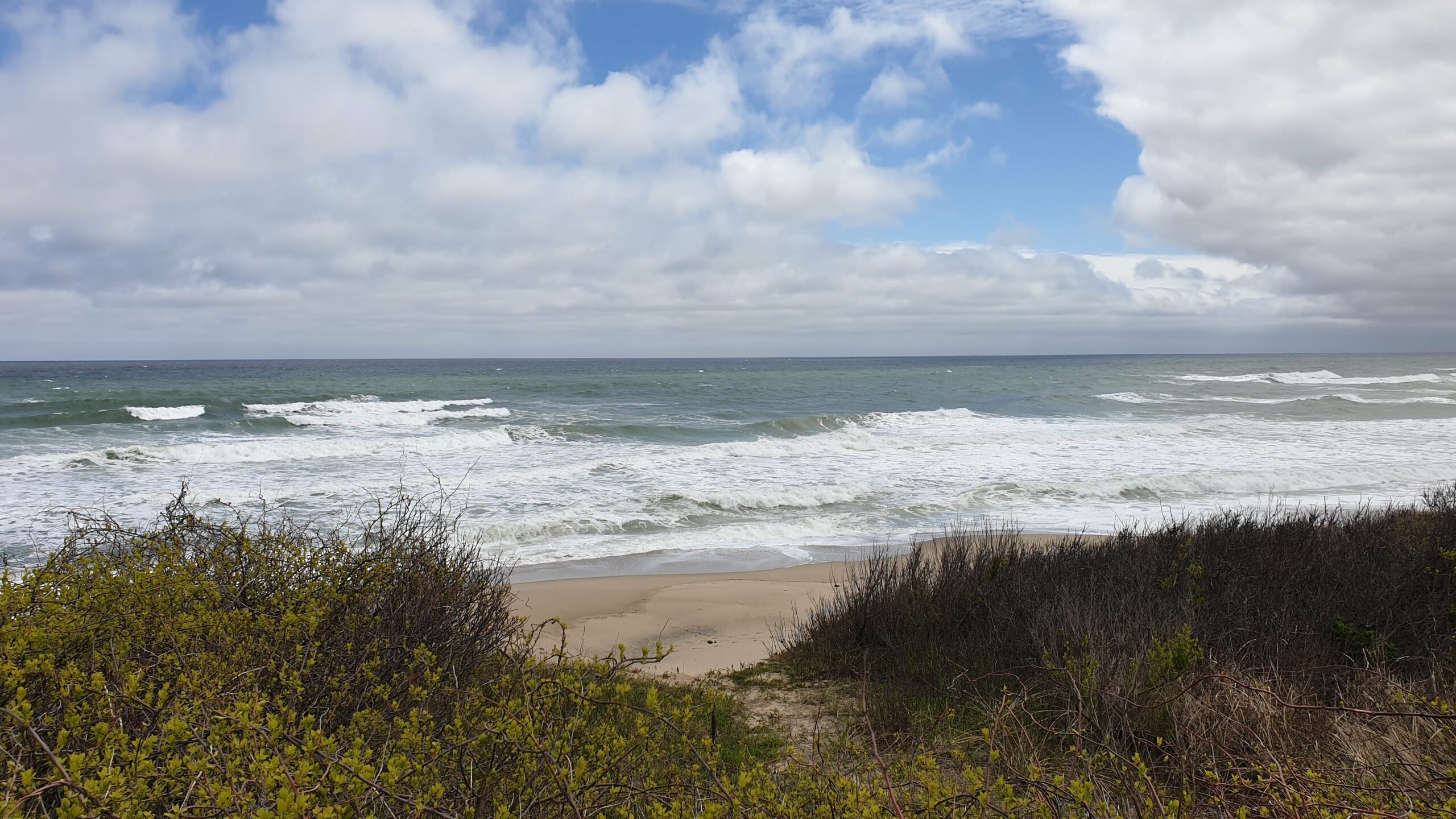 5 mai – Une journée à Cape Cod
